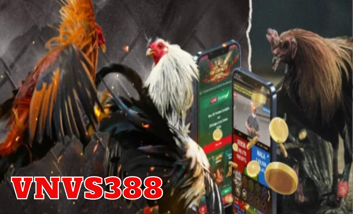 VNVS388.sv388.top luôn đứng vững như một địa chỉ cá cược đáng tin cậy trong thế giới đá gà online