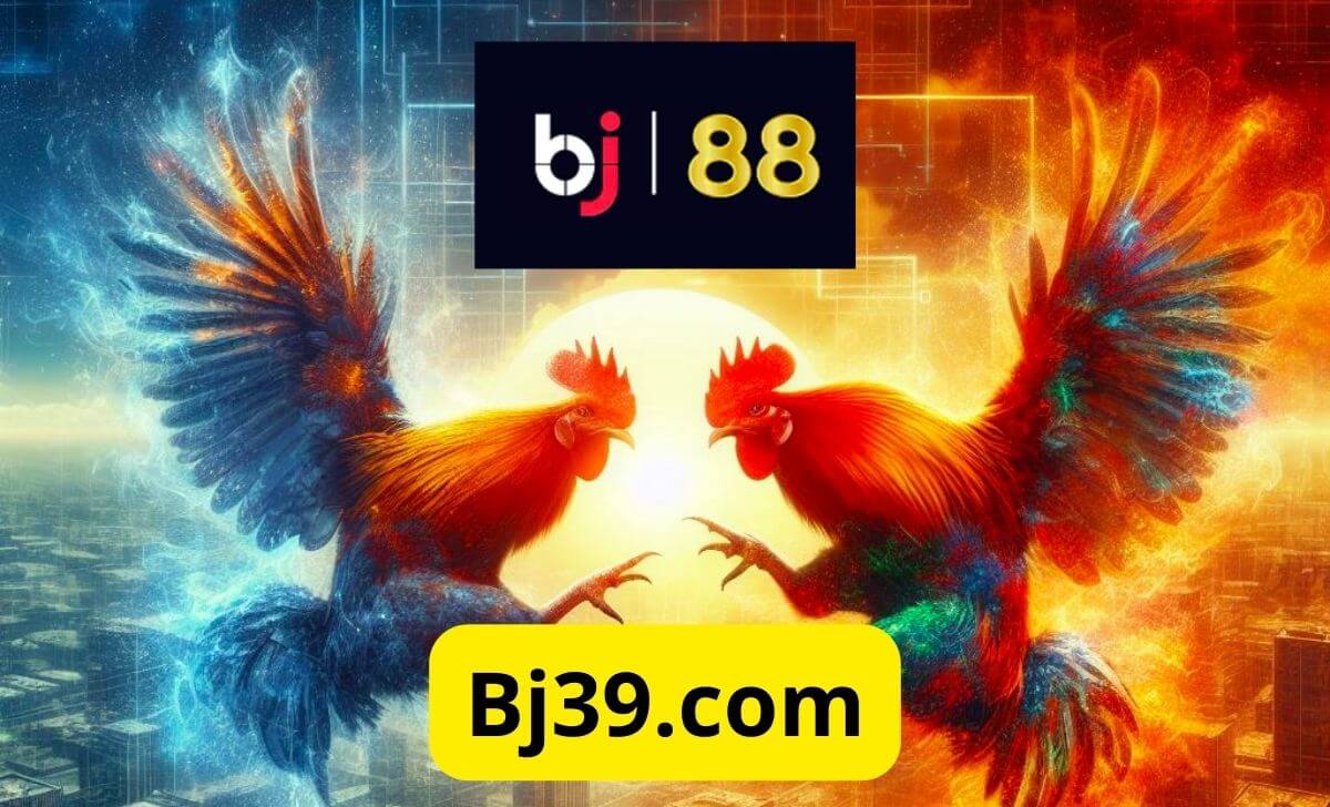 Bj88vn.com